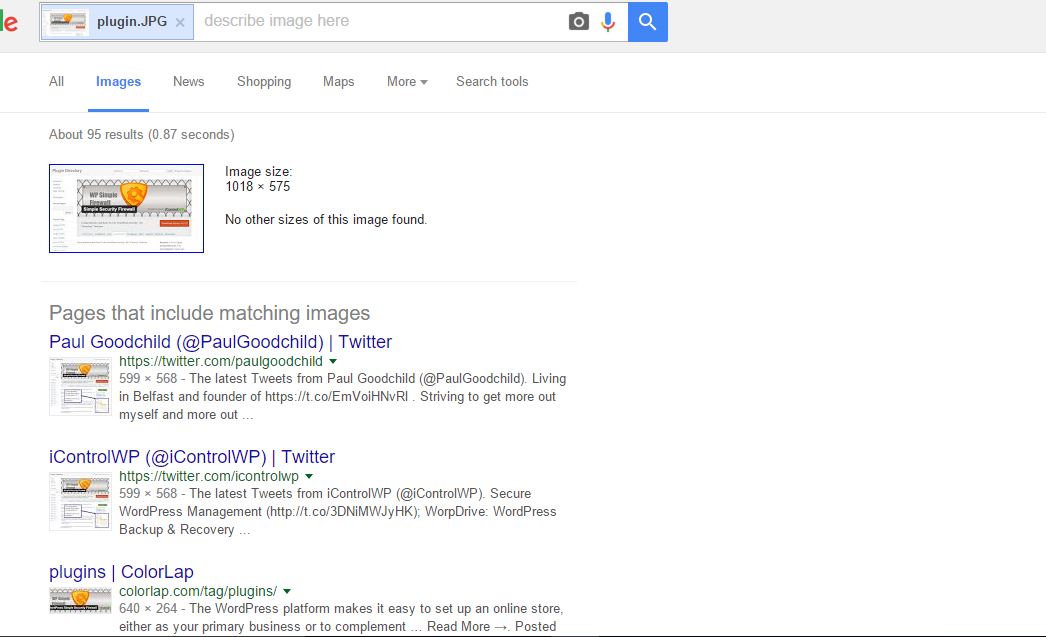 reverse image search result