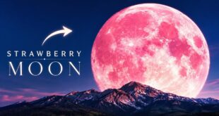 Strawberry Moon 2026: What to Expect on June 29